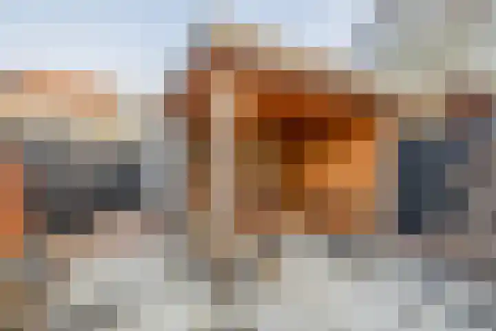 Marshalllaan 82 Hellevoetsluis thumbnail 17
