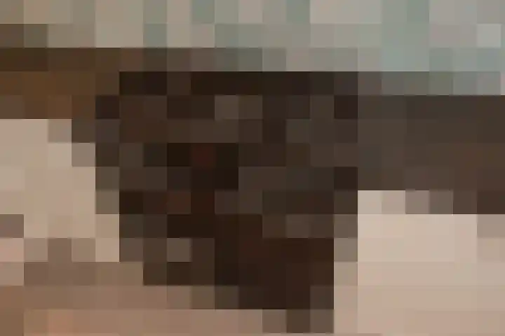 Marshallplein 128 Rijswijk thumbnail 22