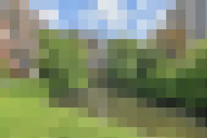 Marshallplein 196 Rijswijk thumbnail 21