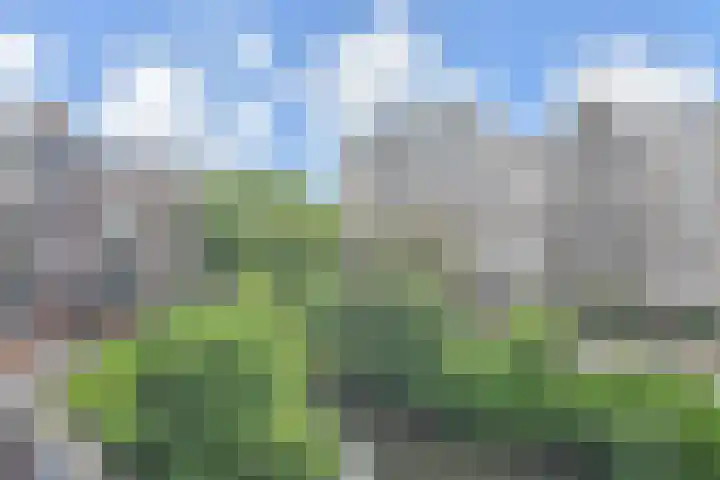 Marshallplein 196 Rijswijk thumbnail 7
