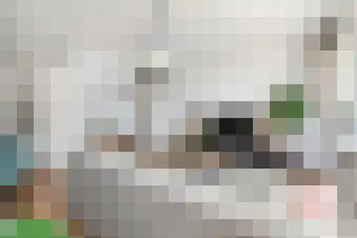 Marshallplein 214 Rijswijk thumbnail 11