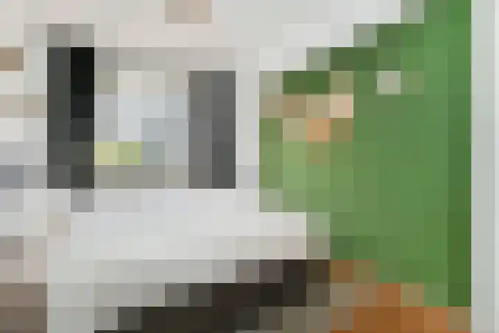 Marshallplein 214 Rijswijk thumbnail 20