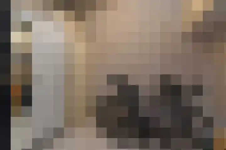 Marshallplein 214 Rijswijk thumbnail 28