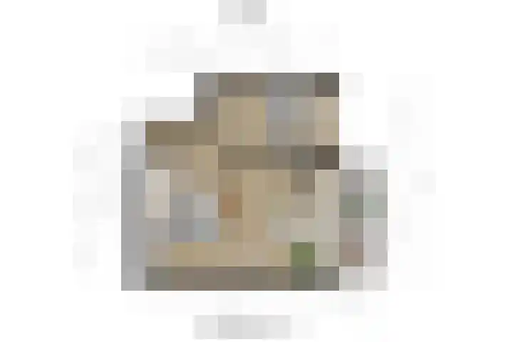 Marshallplein 214 Rijswijk thumbnail 32
