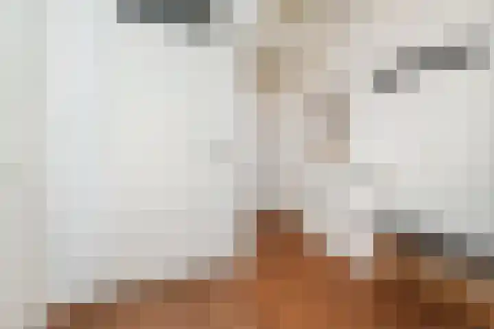 Marshallplein 214 Rijswijk thumbnail 9