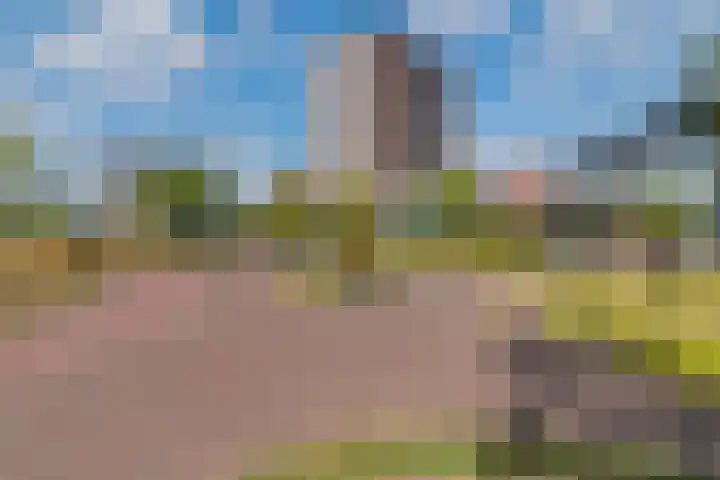 Marshallplein 220 Rijswijk thumbnail 24