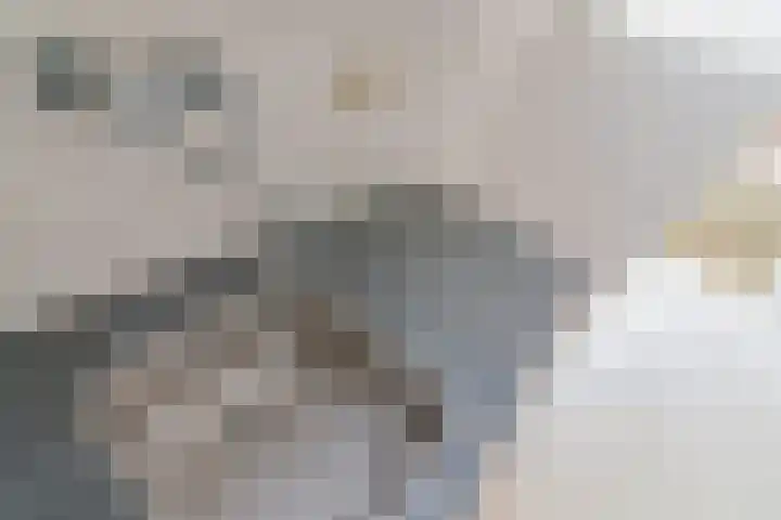 Marshallplein 220 Rijswijk thumbnail 6