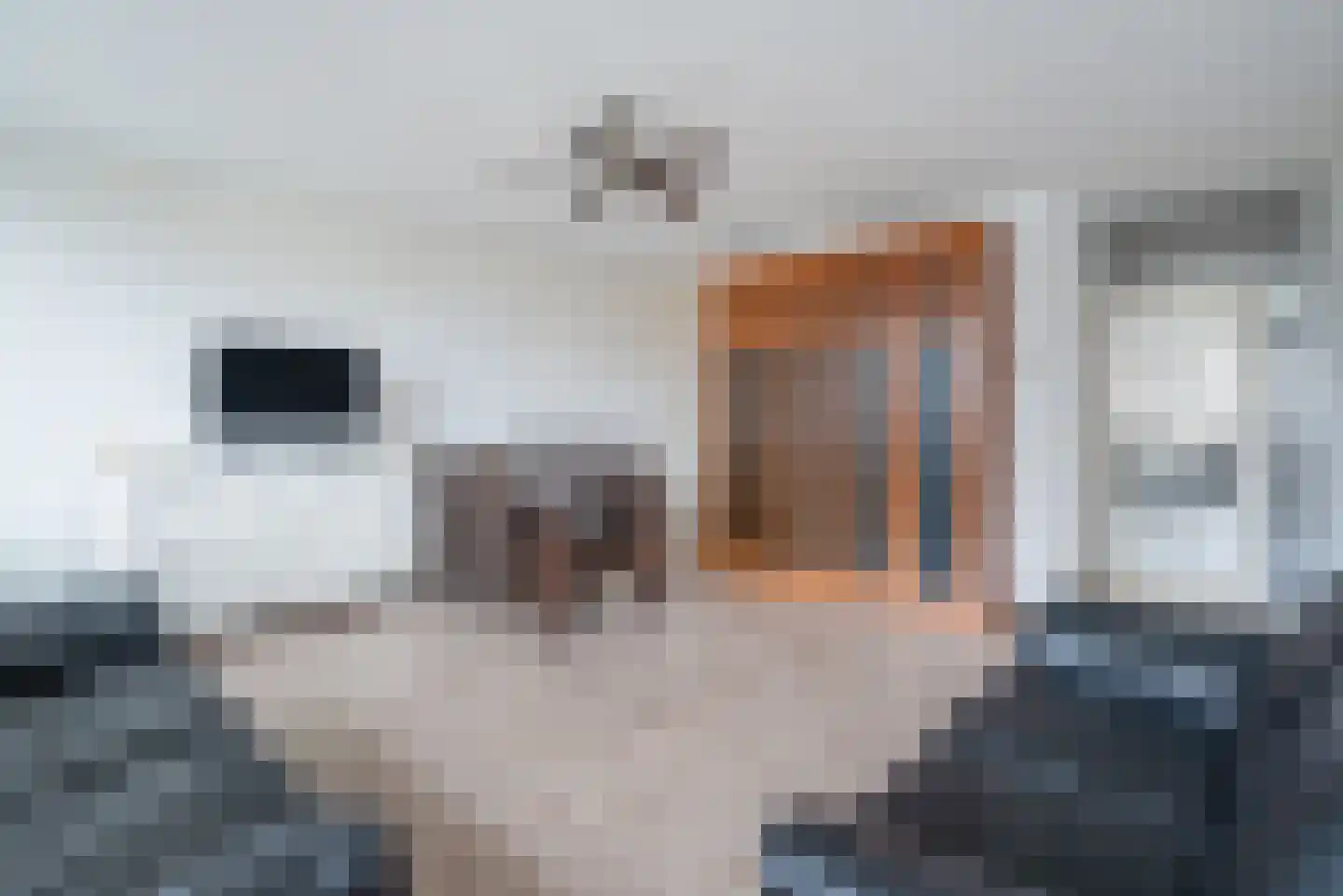 Marshallplein 256 Rijswijk thumbnail 25
