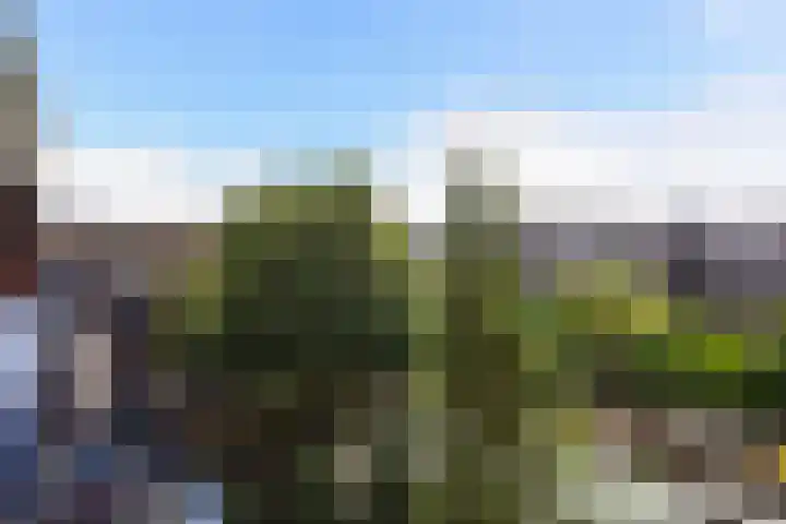 Marshallplein 29 Rijswijk thumbnail 13