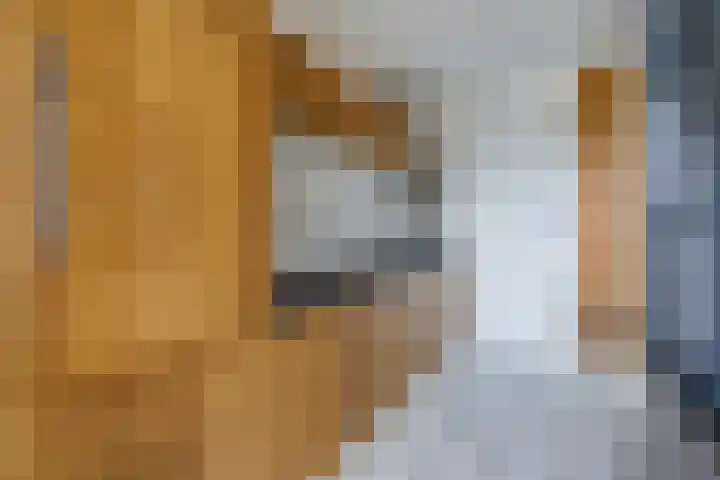 Marshallplein 29 Rijswijk thumbnail 15