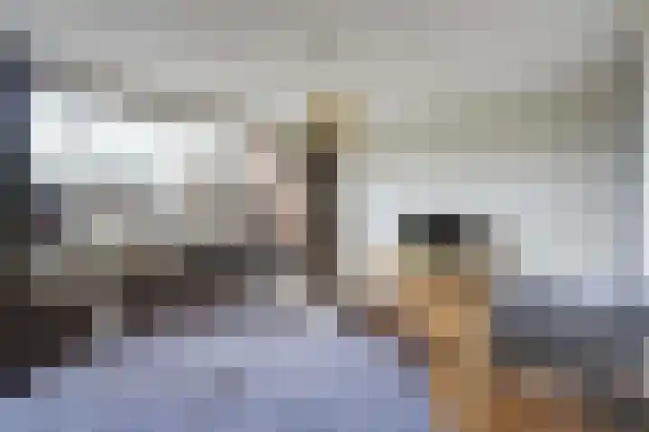 Marshallplein 29 Rijswijk thumbnail 18