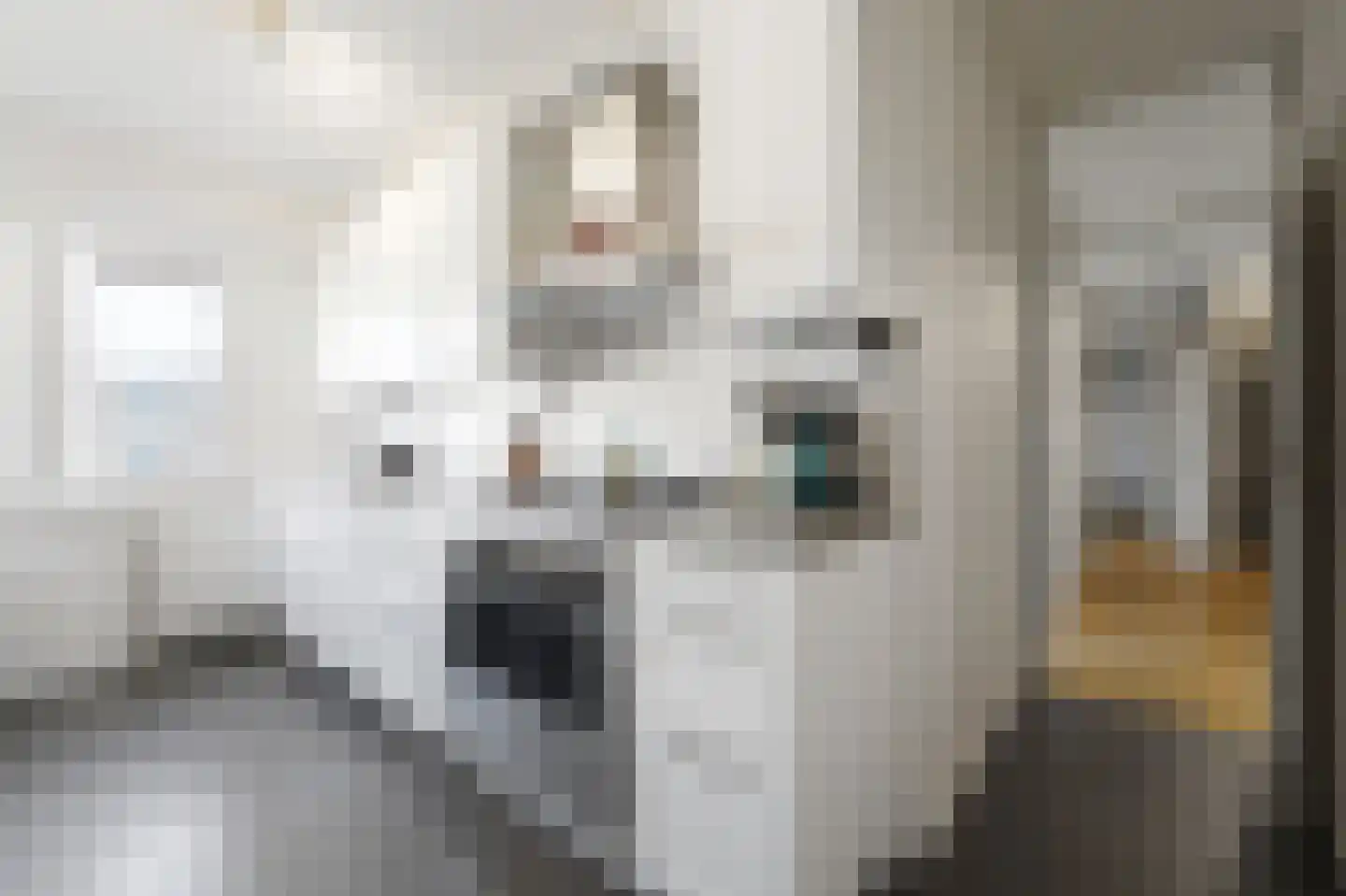 Marshallplein 63 Rijswijk thumbnail 18