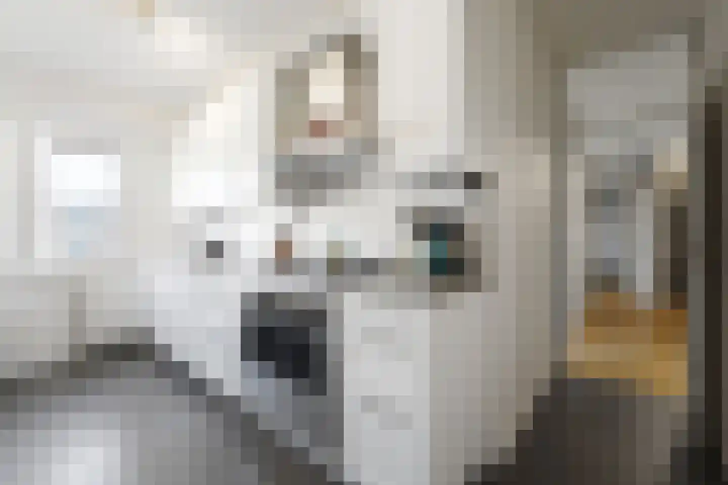 Marshallplein 63 Rijswijk thumbnail 4