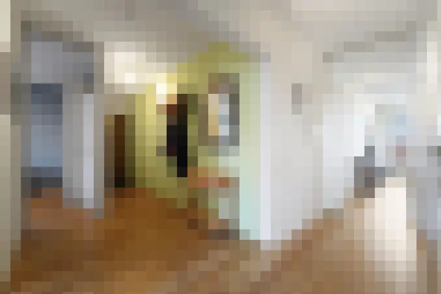 Marshallplein 63 Rijswijk thumbnail 8