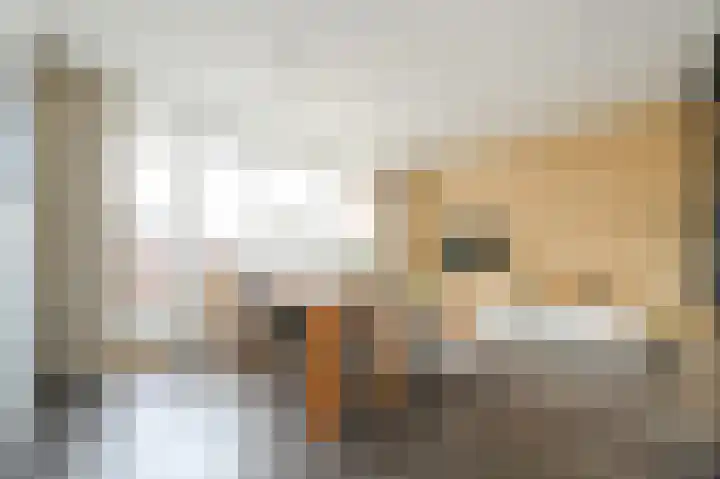 Marshallplein 65 Rijswijk thumbnail 20