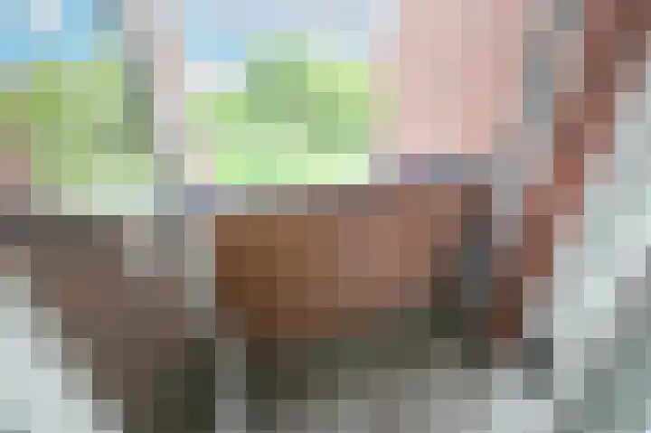 Marshallplein 65 Rijswijk thumbnail 34