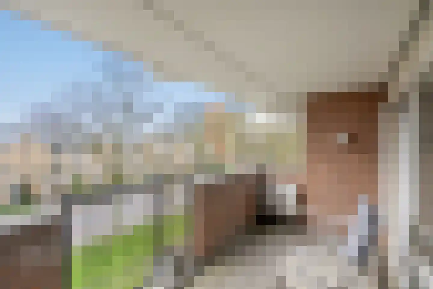 Marshallplein 66 Rijswijk thumbnail 25