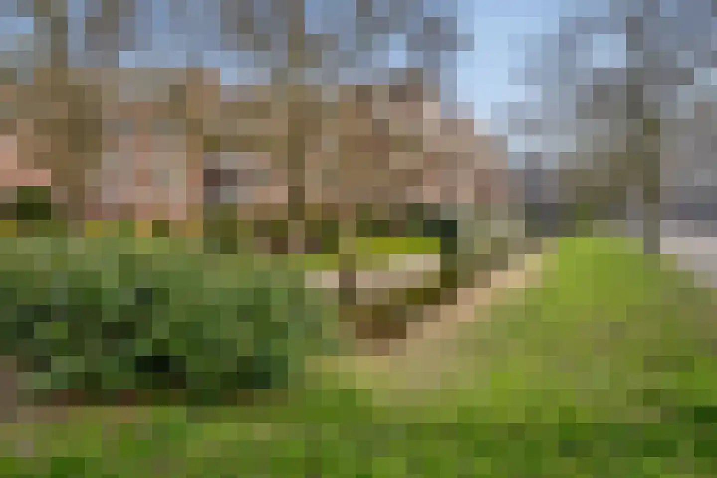 Marshallplein 66 Rijswijk thumbnail 28