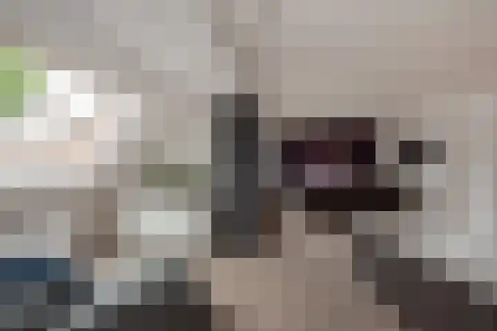 Marshallplein 8 Rijswijk thumbnail 22