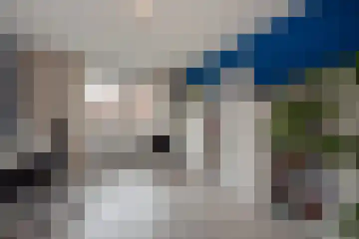 Marshallplein 8 Rijswijk thumbnail 26