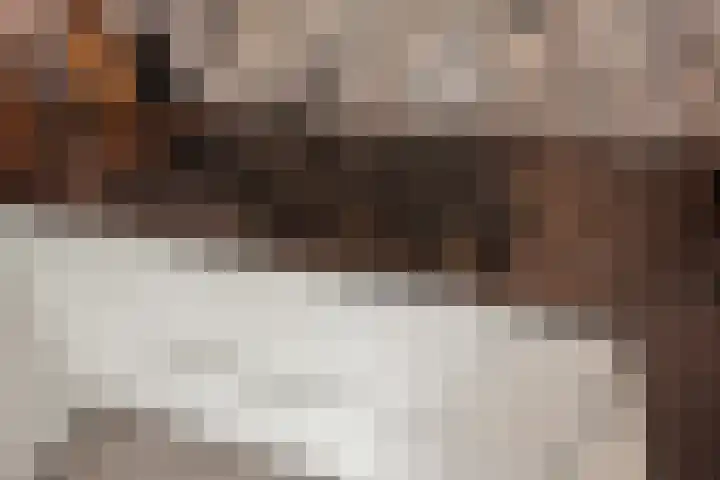 Marshallplein 8 Rijswijk thumbnail 7