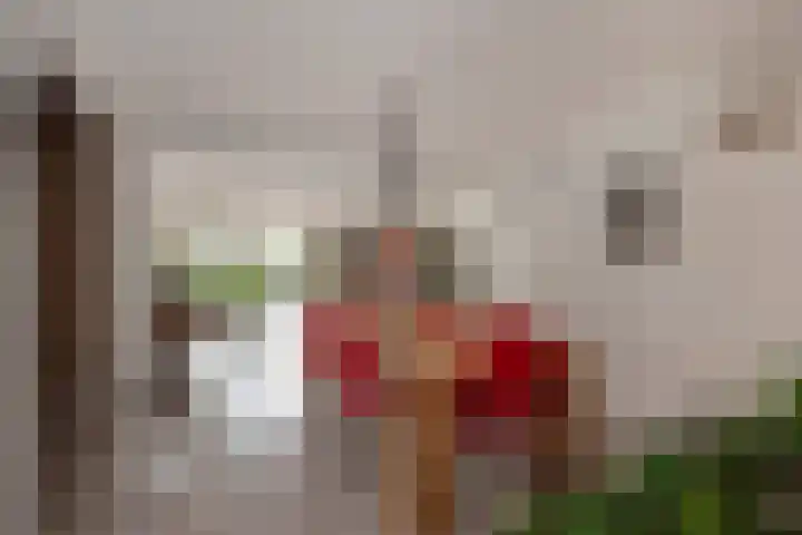 Marshallplein 8 Rijswijk thumbnail 8
