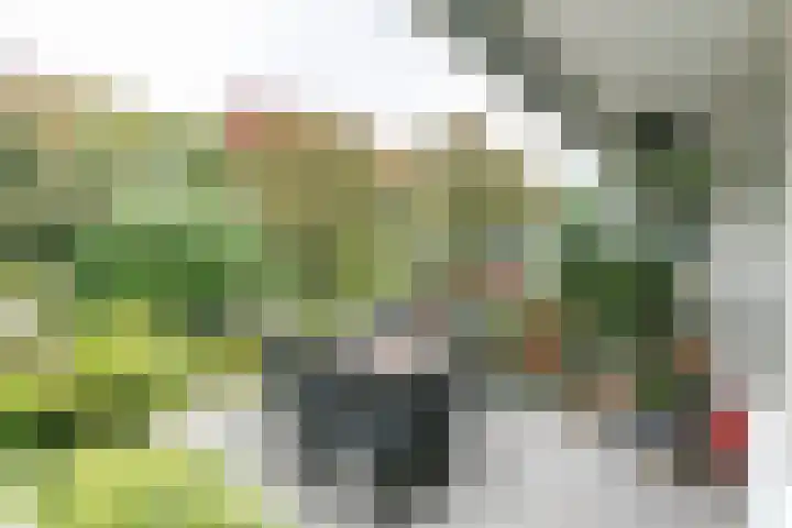 Marshallsingel 21 Heerlen thumbnail 23