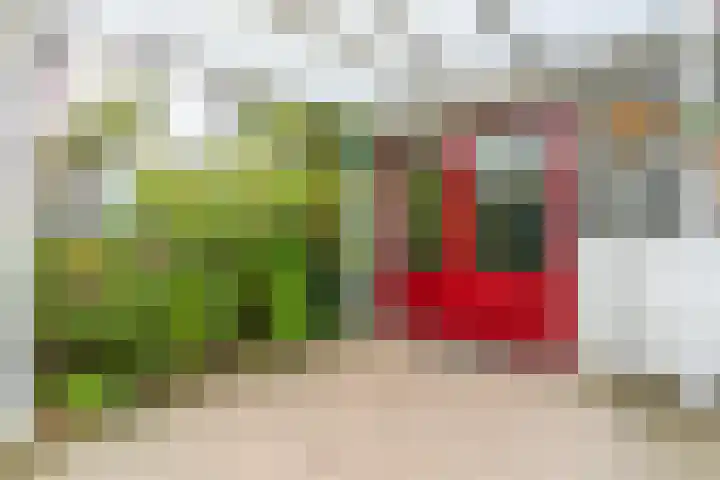 Marshallsingel 21 Heerlen thumbnail 25