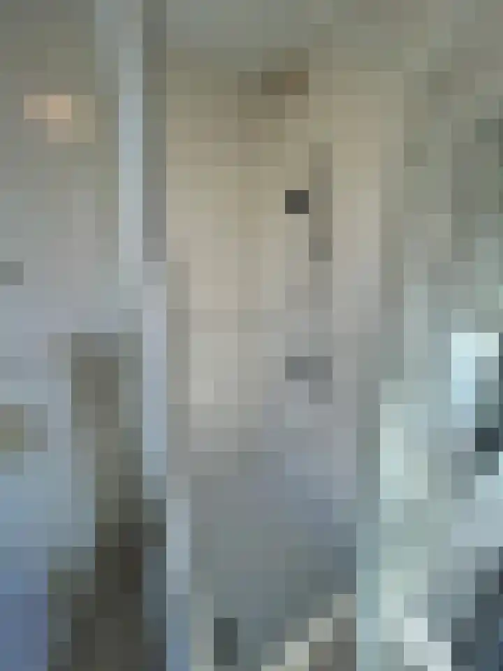 Marshallsingel 23 Heerlen thumbnail 27
