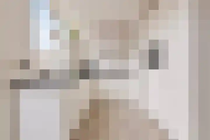 Marshallstraat 15 Goes thumbnail 11