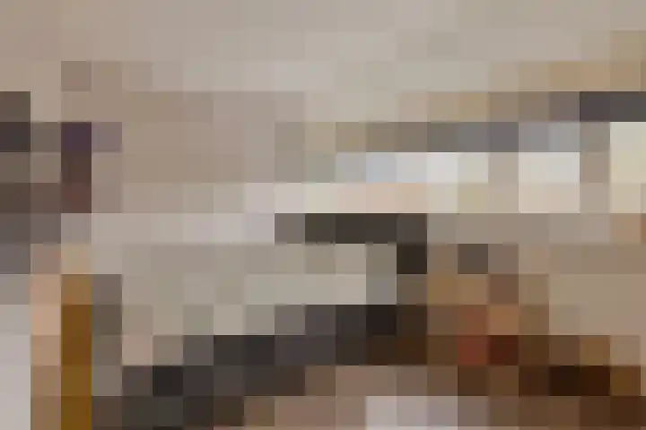 Marshallstraat 15 Goes thumbnail 15
