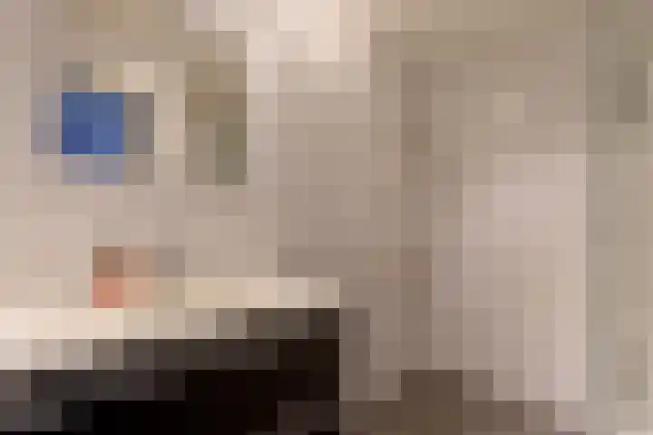 Marshallstraat 15 Goes thumbnail 19