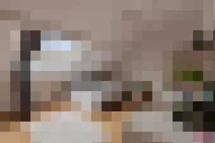 Marshallstraat 15 Goes thumbnail 21