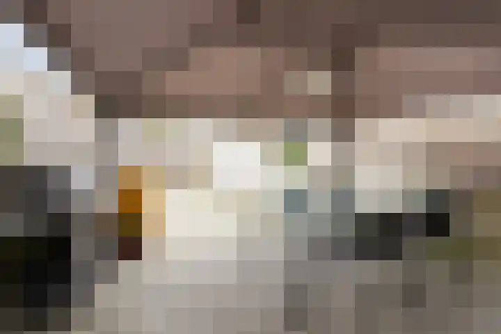 Marshallstraat 15 Goes thumbnail 25
