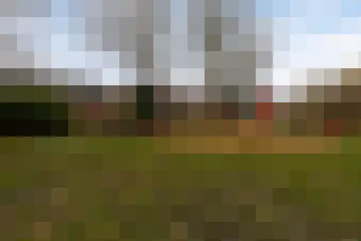 Marshallstraat 15 Goes thumbnail 31