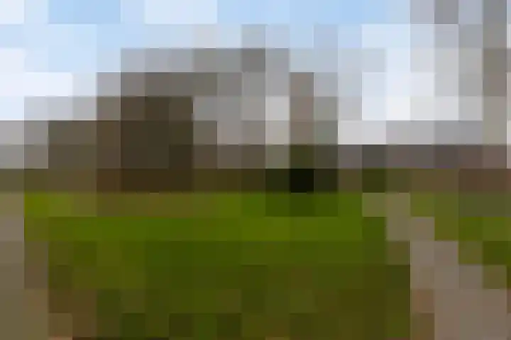 Marshallstraat 15 Goes thumbnail 32
