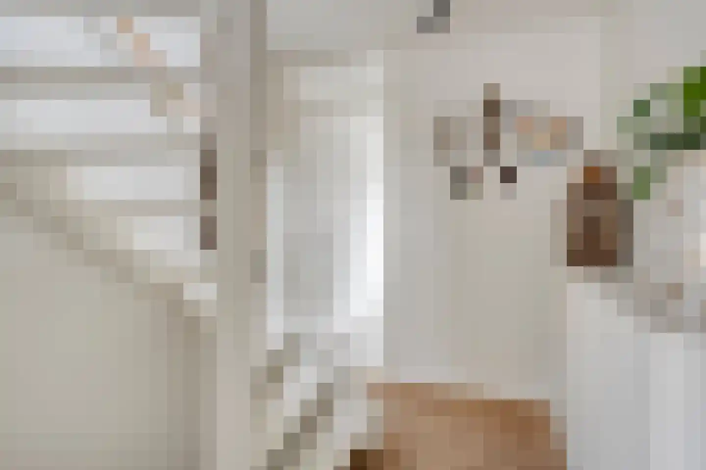 Marshallstraat 17 Goes thumbnail 19