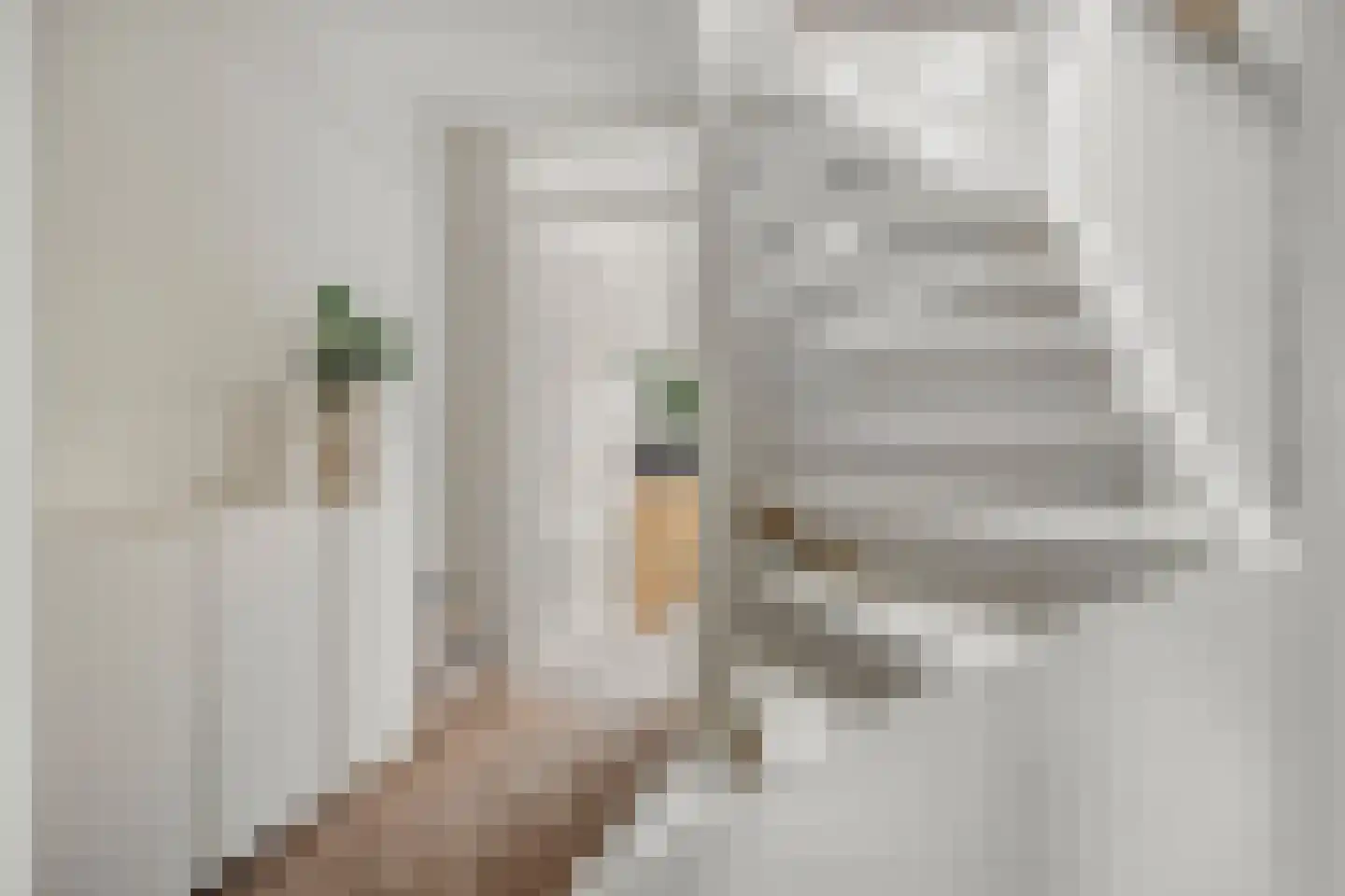 Marshallstraat 17 Goes thumbnail 20