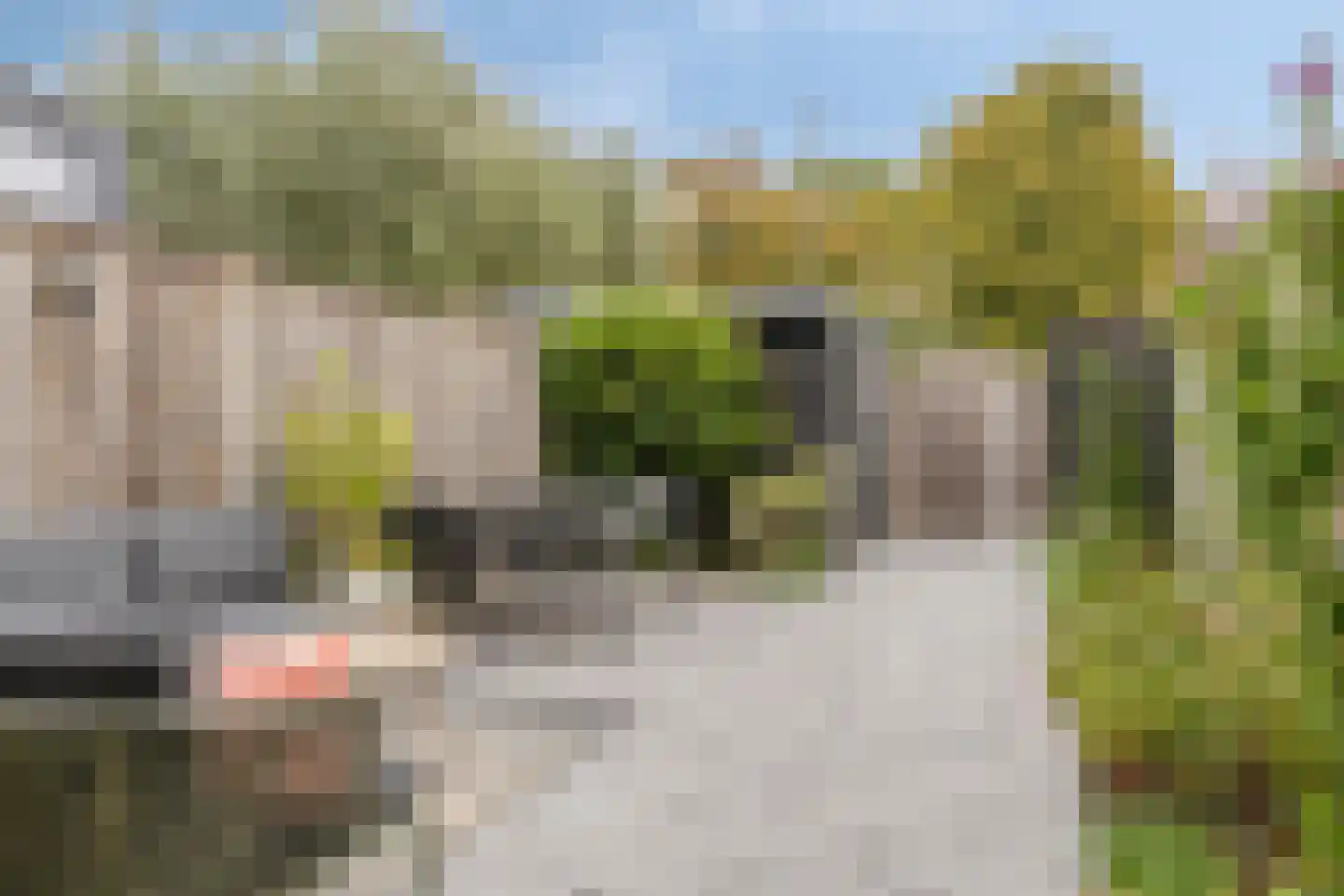 Marshallstraat 17 Goes thumbnail 4