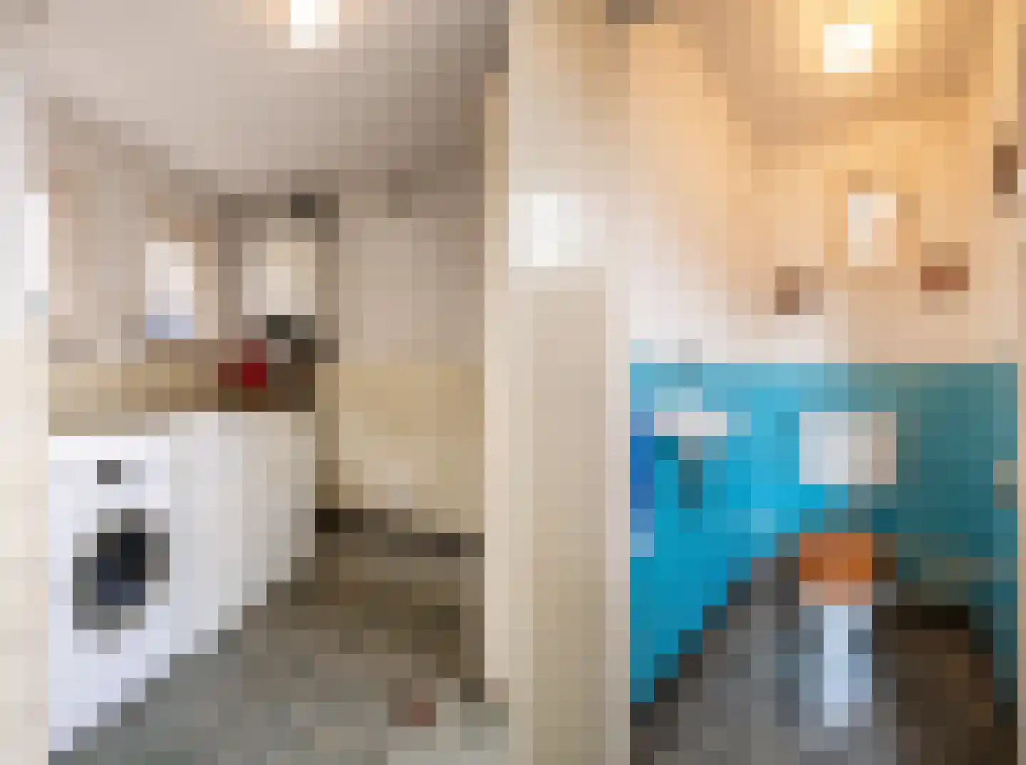 Marshallstraat 18 Oss thumbnail 11