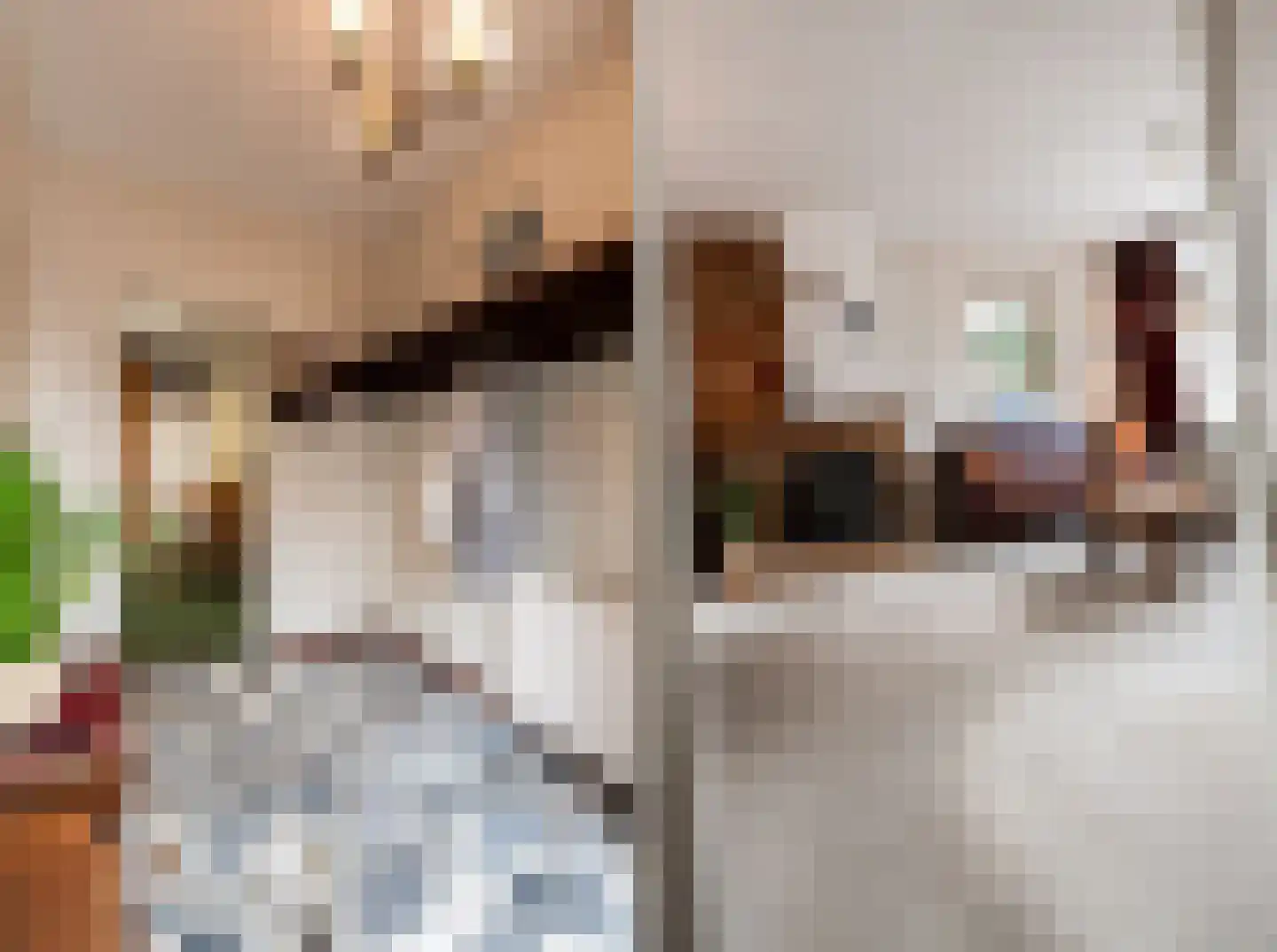 Marshallstraat 18 Oss thumbnail 6
