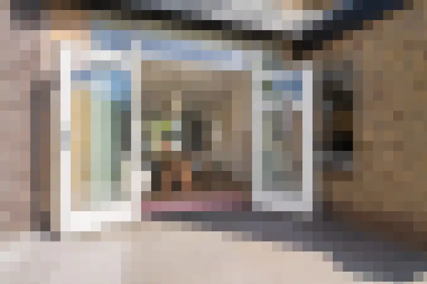 Marshallstraat 22 Oss thumbnail 43
