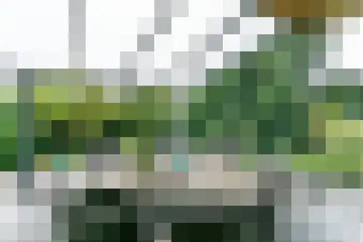 Marshallstraat 26 Brunssum thumbnail 27