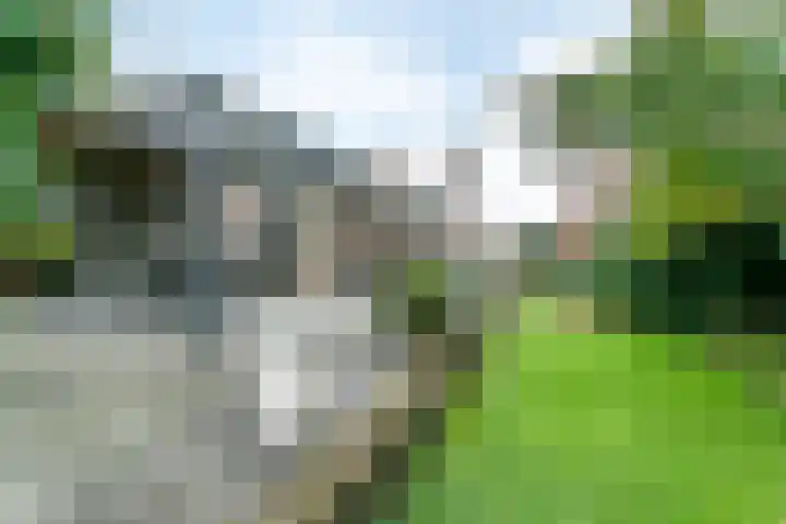 Marshallstraat 26 Brunssum thumbnail 31