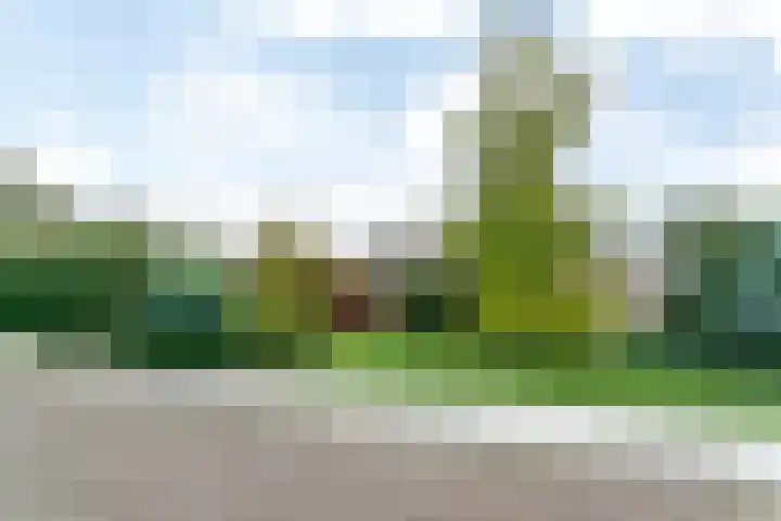 Marshallstraat 26 Brunssum thumbnail 37