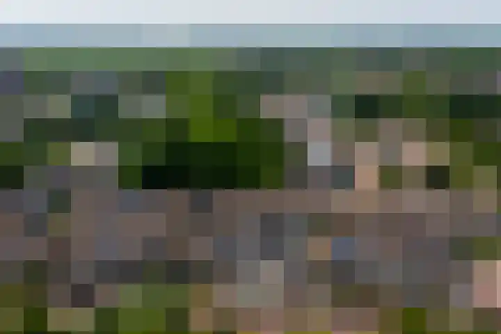 Marshallstraat 27 Goes thumbnail 32