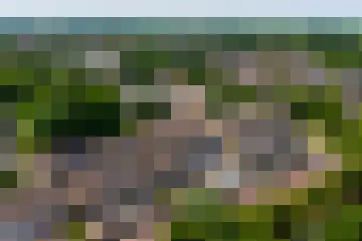 Marshallstraat 27 Goes thumbnail 33