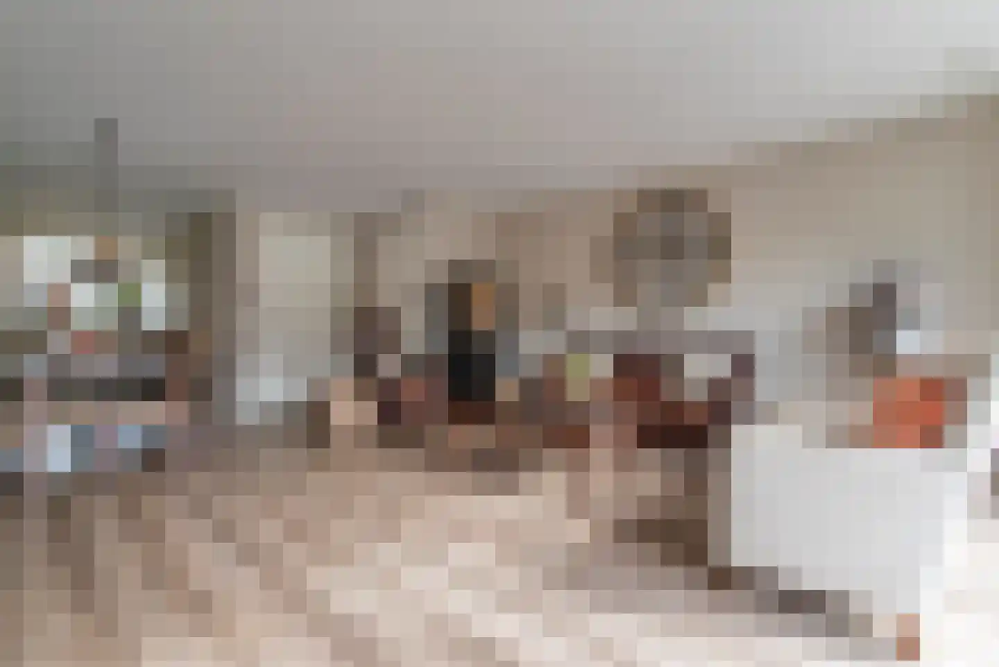 Marshallstraat 3 Veenendaal thumbnail 13