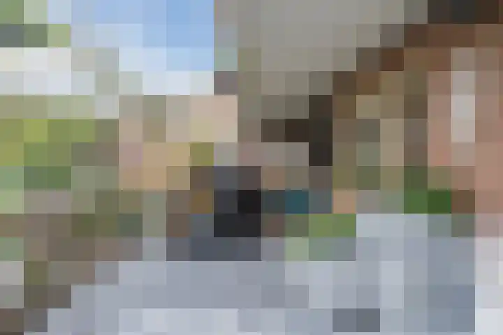 Marshallstraat 36 Egmond aan Zee thumbnail 31