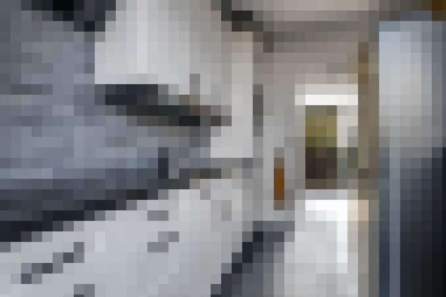 Marshallstraat 4 Zetten thumbnail 28